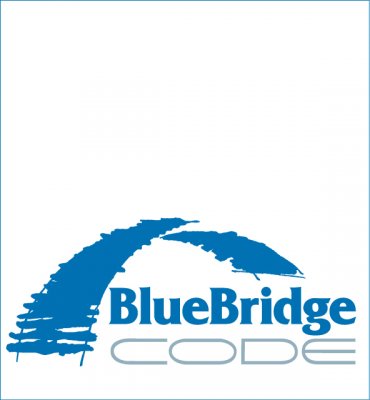 UAB Blue Bridge Code