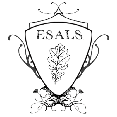 European sport, art and languages school