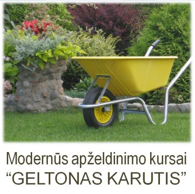 Geltonas karutis