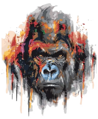 Video montavimo praktika